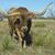 Anita Rhoads's profile image