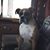 David Mckinney's profile image