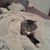 Shanna McCormick's profile image