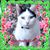 Kim Harris's profile image