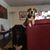 Lauren Grant's profile image