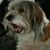 Rosemary Stearns's profile image