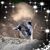 Paula Wagner's profile image