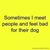 Patricia Bogedin-evans's profile image