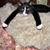 Jay Sugarmuffin's profile image