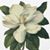 Romika White's profile image