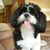 Peggy Matthews's profile image