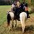 Kathleen Ferry's profile image