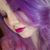 Niki Holloman's profile image