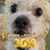 Nancy Longstreth's profile image