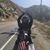 Patricia Stoudt Gentless's profile image