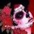 Angel Mejia's profile image