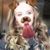 Lexi Terrill's profile image