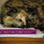 Sharon Molnar Schleif's profile image