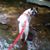 Mare Greer's profile image
