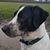 Rose Stubblefield's profile image