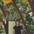 Farid Pourshiravi's profile image