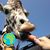 Susan Hardy Hastings's profile image