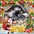 Lisa Bolton's profile image