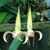 Barbara Ohler's profile image
