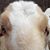 Marv Walsh's profile image