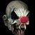 Taz Isaac's profile image