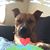 Rick Campbell's profile image