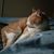Linda Valentine Kunz's profile image