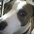 Sharon Parish's profile image