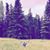 Martha Flint's profile image