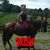 Marci Wunderlich's profile image