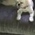 Donna Berard Steele's profile image