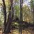 Signe MacDonald-Johnsen's profile image