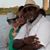 Shana M. Tate's profile image