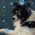 Pam Roman-Femrite's profile image