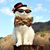 Kim Huffman's profile image