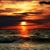 Vicki Lynn Eaton-Strobel's profile image