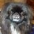 Buster Hill's profile image
