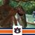 Jeremy Thomas's profile image