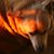 Tania Kamal-Eldin's profile image