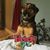 Robin Lea Turner's profile image
