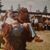 Jennifer Eddy's profile image