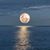 Dawn Marris's profile image