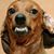 Micah James Howey's profile image