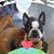 Aulden Davis's profile image