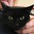 Julie Harrison's profile image