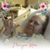 Tammy Wrisk's profile image