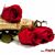 Zeynab Sarrafnejad's profile image