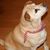 Sandy Freiwald's profile image
