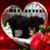 Trish Kirby's profile image